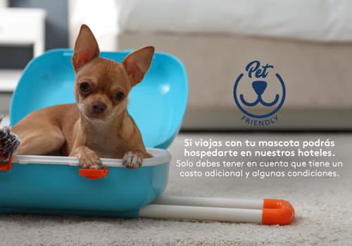 Admite mascotas Hotel ESTELAR Yopal Yopal