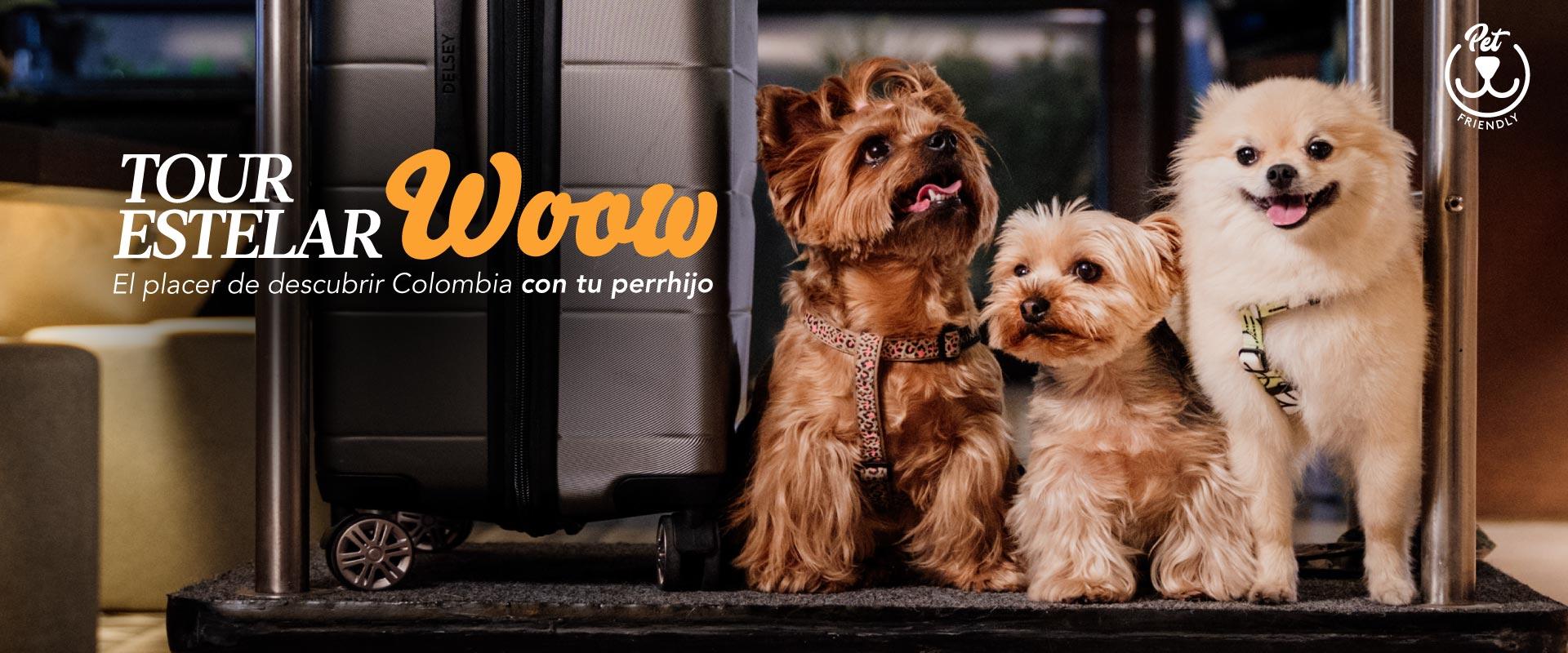 ESTELAR Yopal Colombia - Yopal ESTELAR Yopal Colombia - Yopal